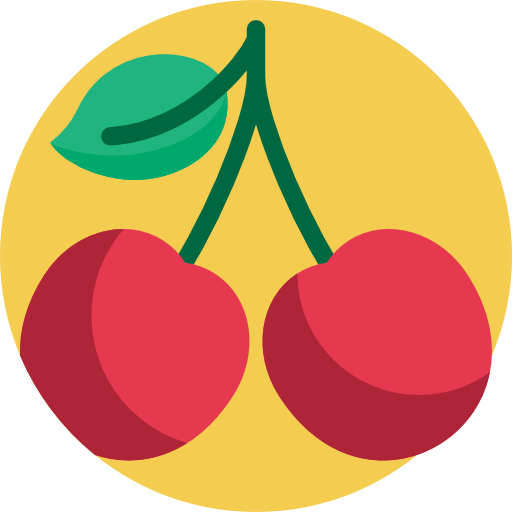 Casina Hrvatska Logo